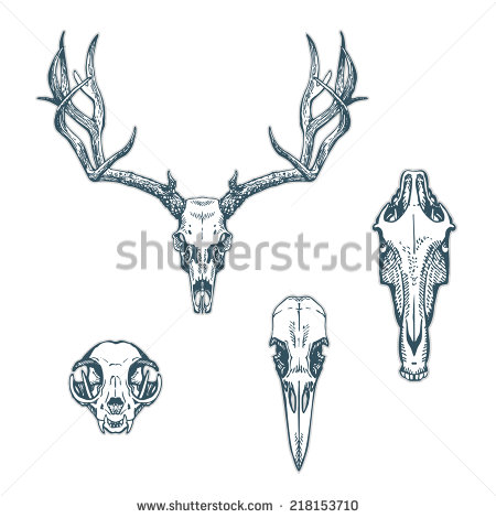 Deer Skull Logo Transparent Background