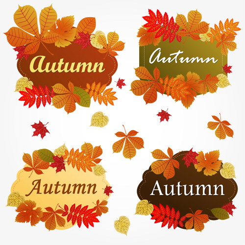 Fall Leaves Border Vector Free