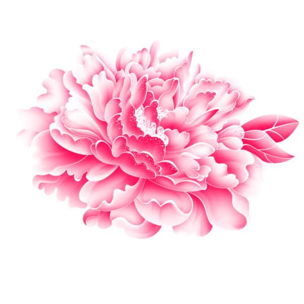 flower clipart for photoshop - photo #4