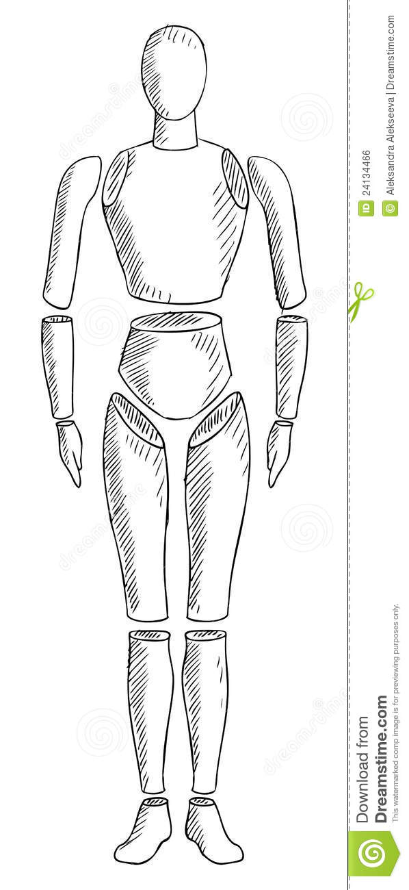 Free Vector Human Body