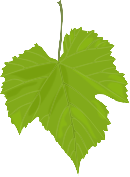 Grape Leaves Clip Art