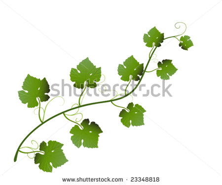 Grape Vine Leaves Clip Art