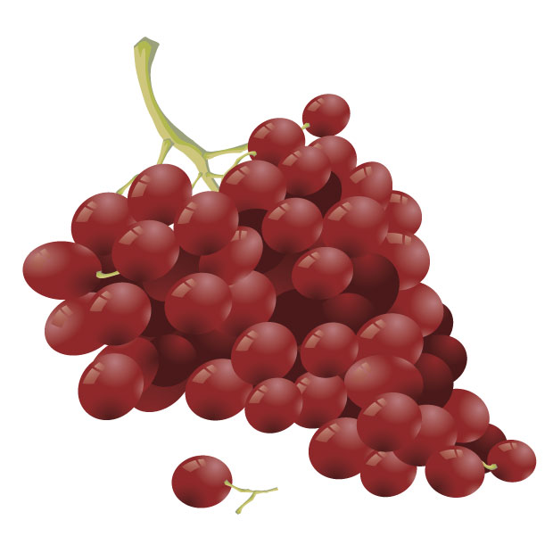 12 Vector Grapes Fruit Images