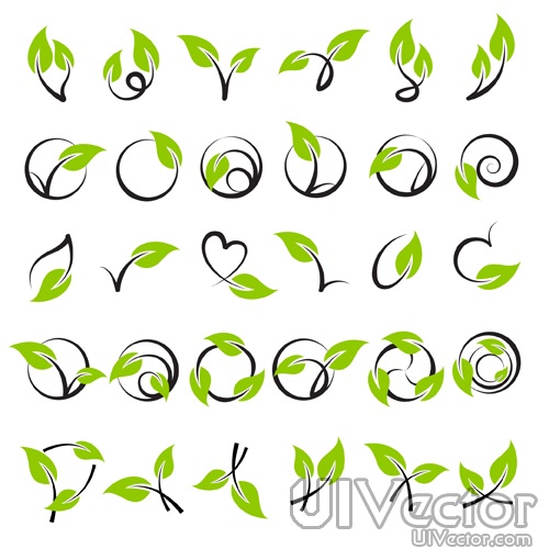 18 Photos of Leaf Vine Vector