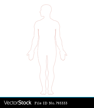 Human Body Outline Front Back