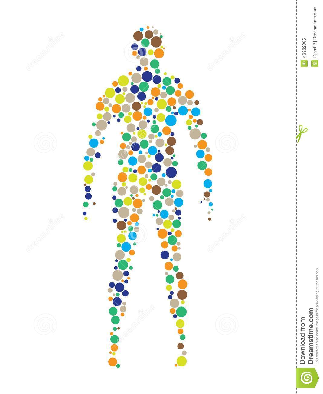 Human Body Outline Illustration