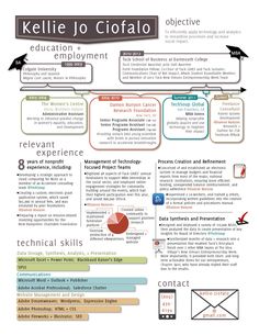 Infographic Resume Template Microsoft Publisher