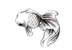 Japanese Fish Tattoos Drawings