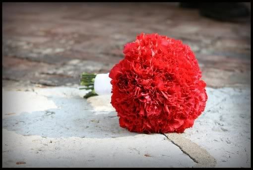 Red Carnation Bouquet