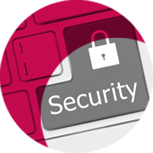 Secure Access Icon