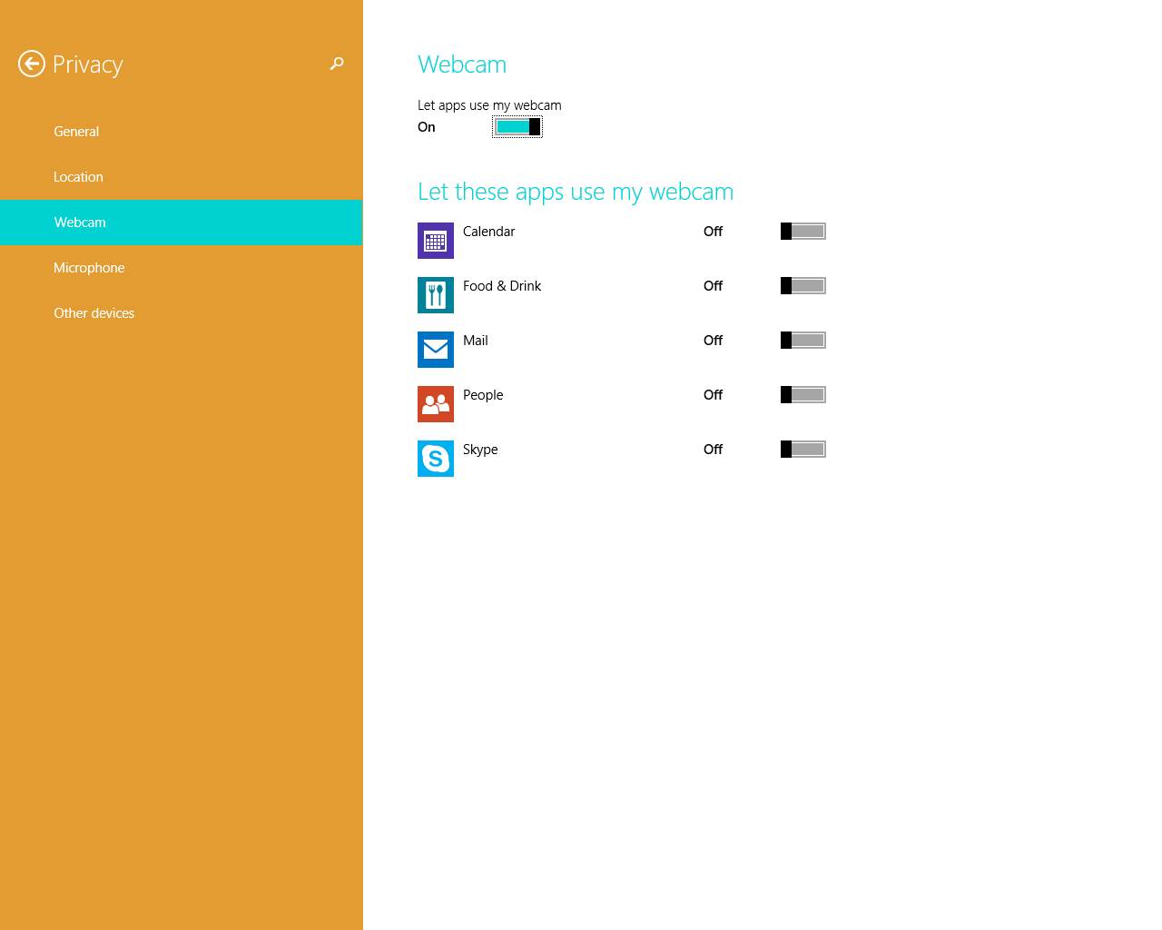 Setting Windows 8 Webcam Setting Windows 8 Webcam