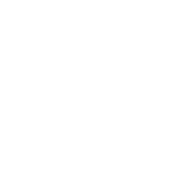 Shopping Cart Icon White