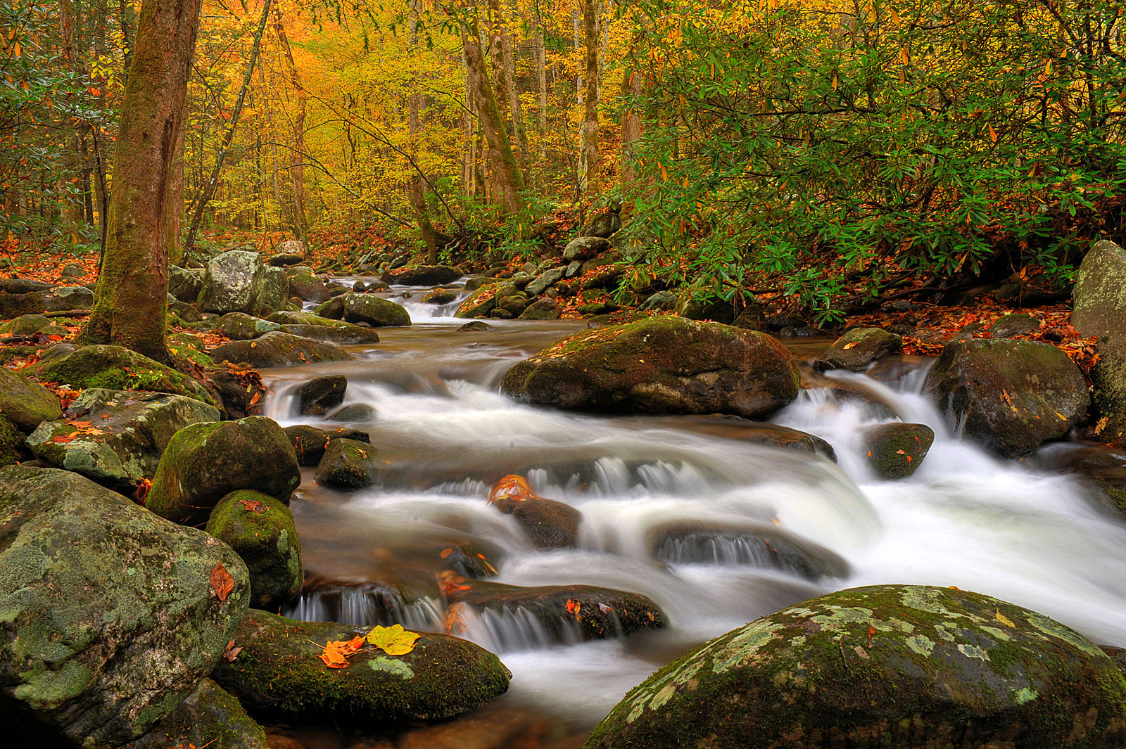 Smoky Mountain Landscapes