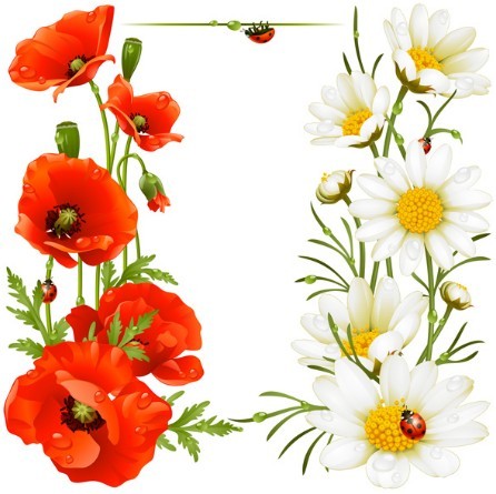 Spring Flower Vector Illustration
