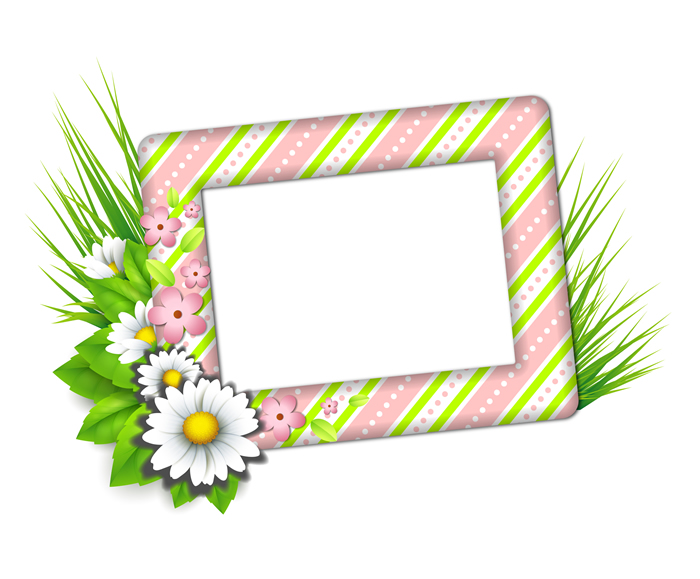 Spring Frames Free Download