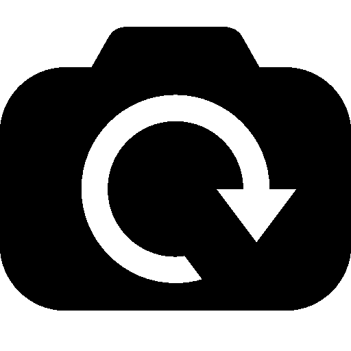 Switch Camera Icon Switch Camera Icon