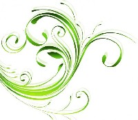 Green Swirl Vector