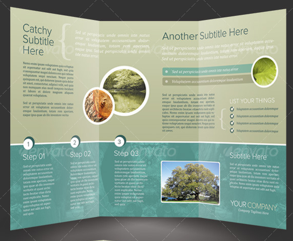 Tri-Fold Brochure Template InDesign