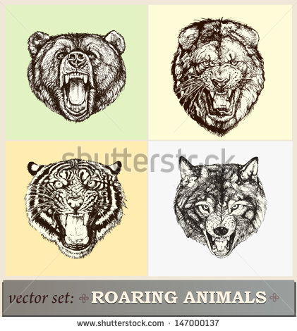Vector Animal Illustration Vector Animal Illustration