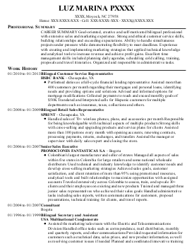 Vector Marketing Resume