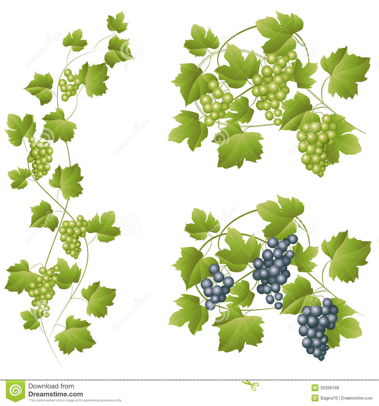 Vine Leaves Vector
