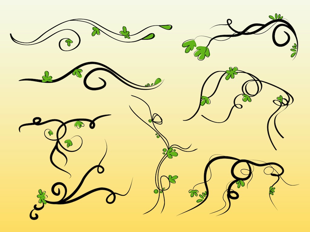 Vine Vector Free