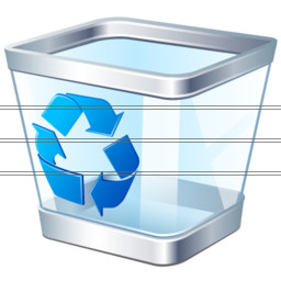 Windows Vista Recycle Bin Icon