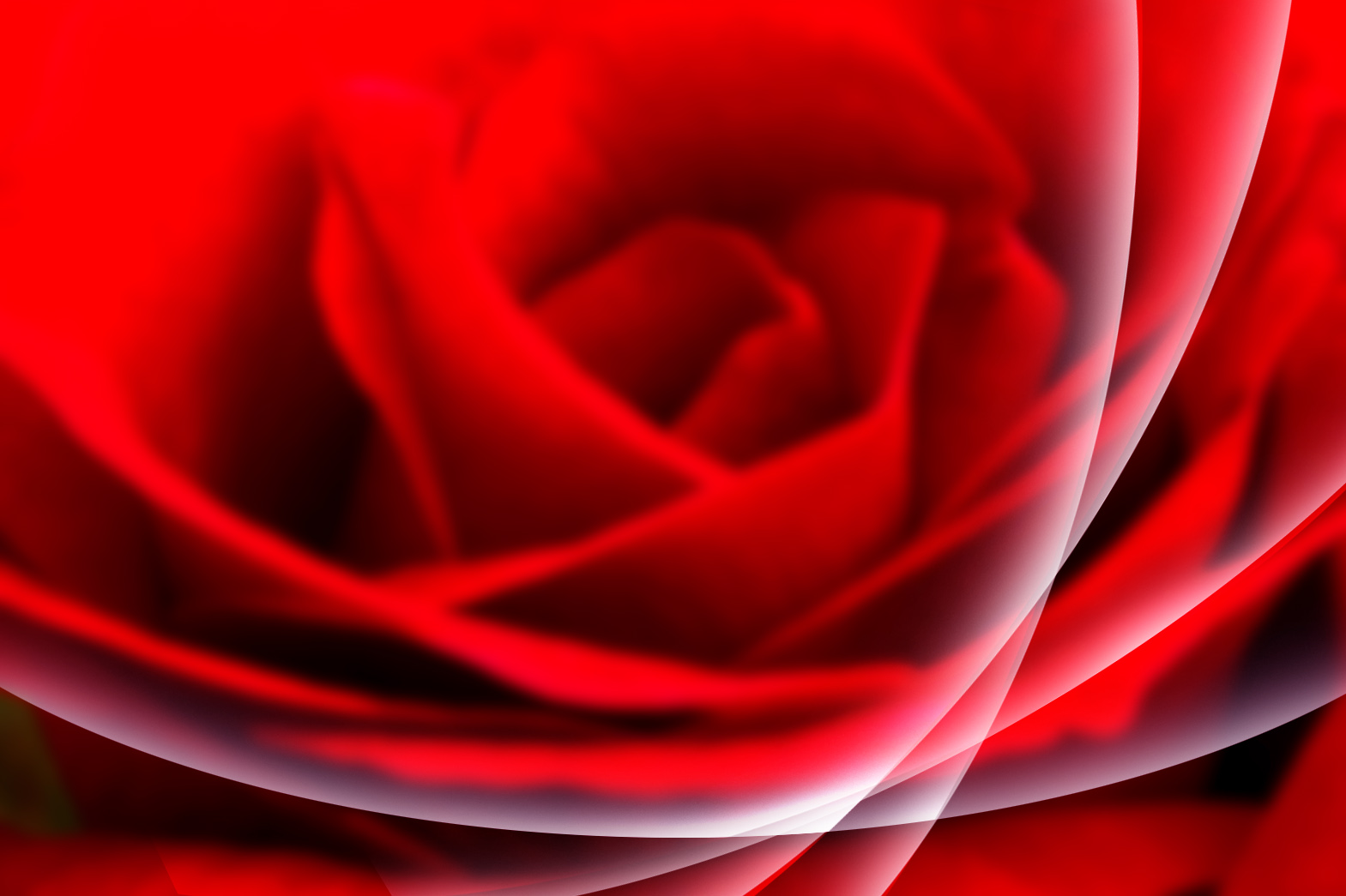 Adobe Photoshop Elements Adobe Photoshop Elements