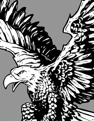 American Eagle Vector Art