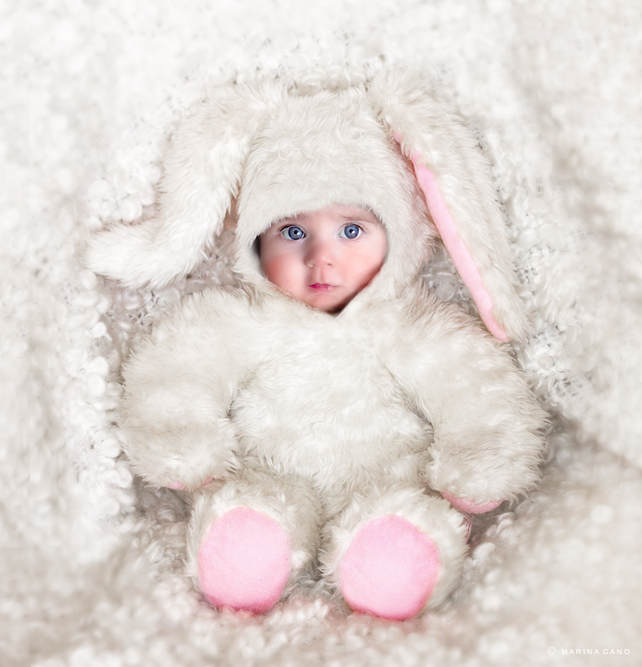 Baby Easter Bunnies Baby Easter Bunnies