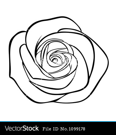 Black and White Rose Outline