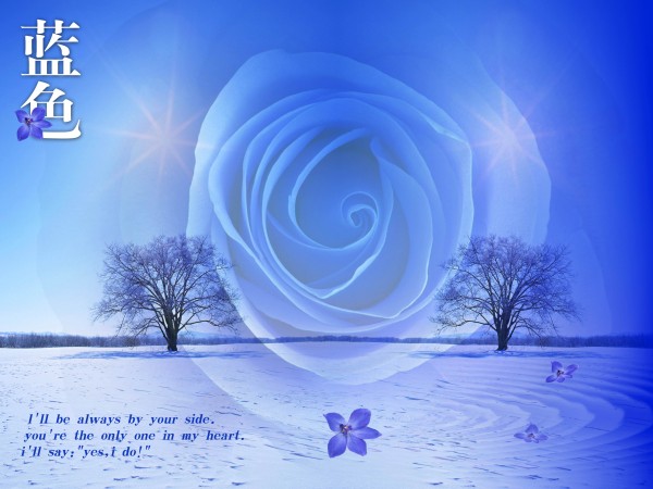 Blue Rose PowerPoint Background