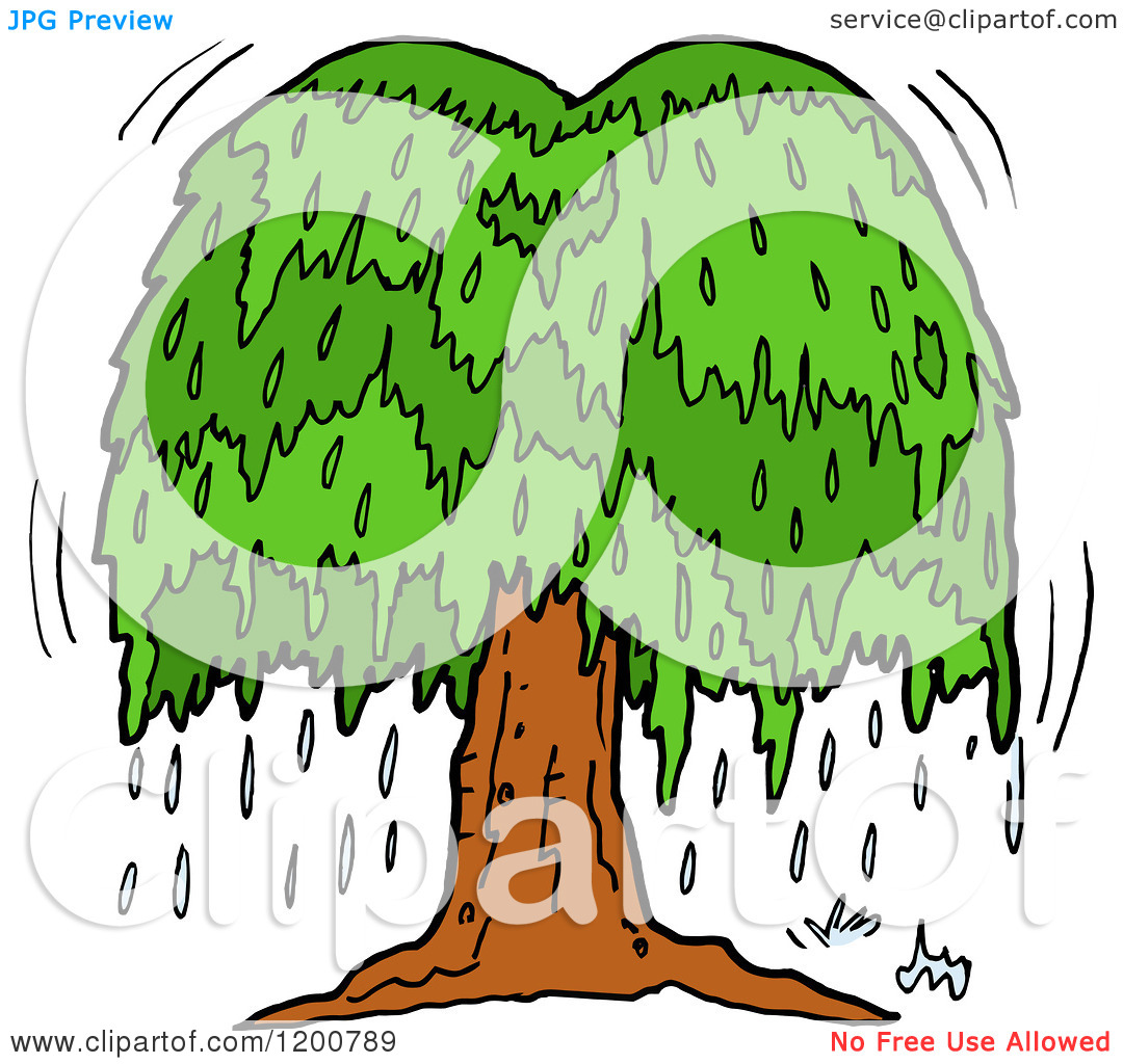 Cartoon Weeping Willow Tree