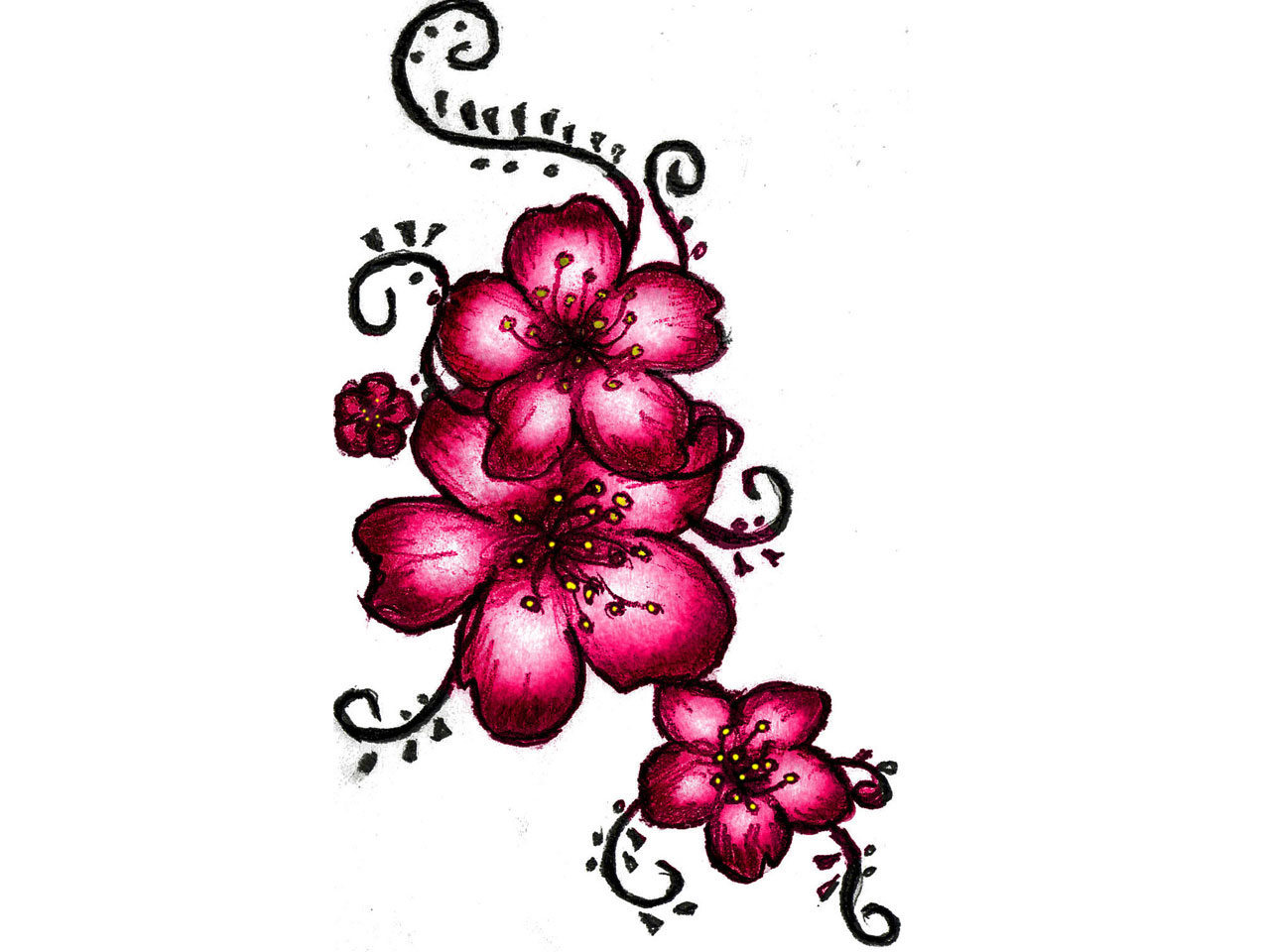 19 Cherry Blossom Designs Images