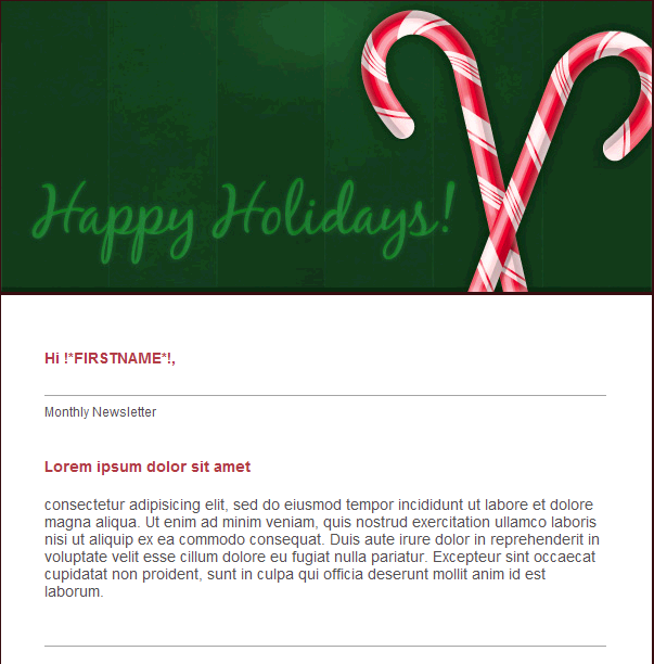 Happy Holidays Email Template