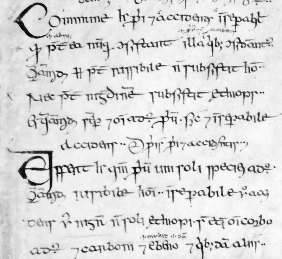 Medieval Script