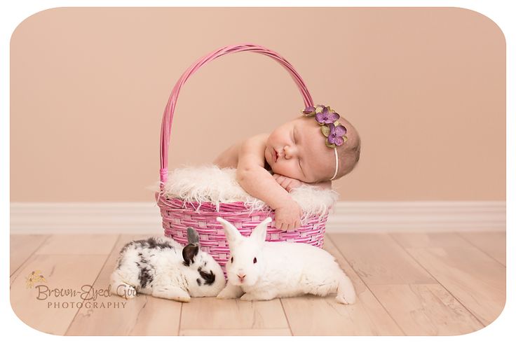 Newborn Baby Easter Photography Newborn Baby Easter Photography