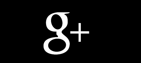 Official Google Plus Icon Vector