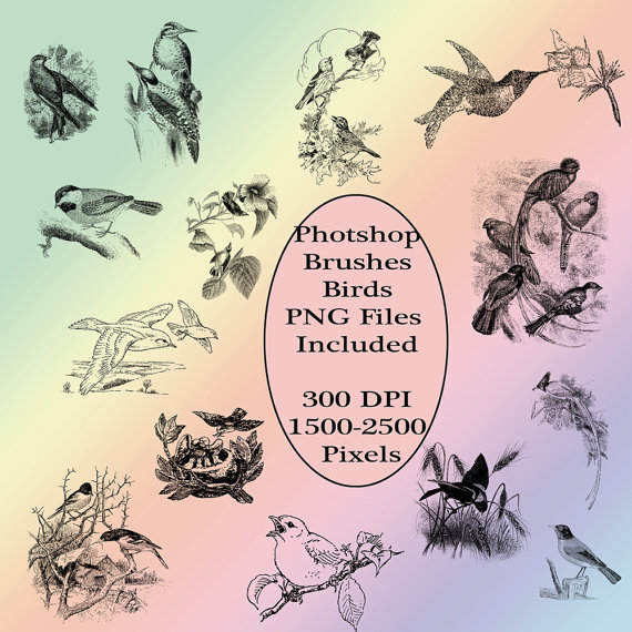 Photoshop Elements Clip Art