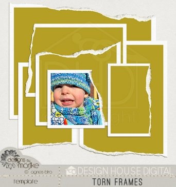 Photoshop Elements Frames Photoshop Elements Frames