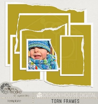 Photoshop Elements Frames