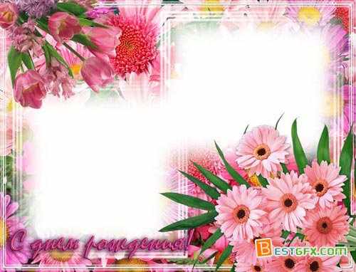 Red Flower Photo Frame Download Free