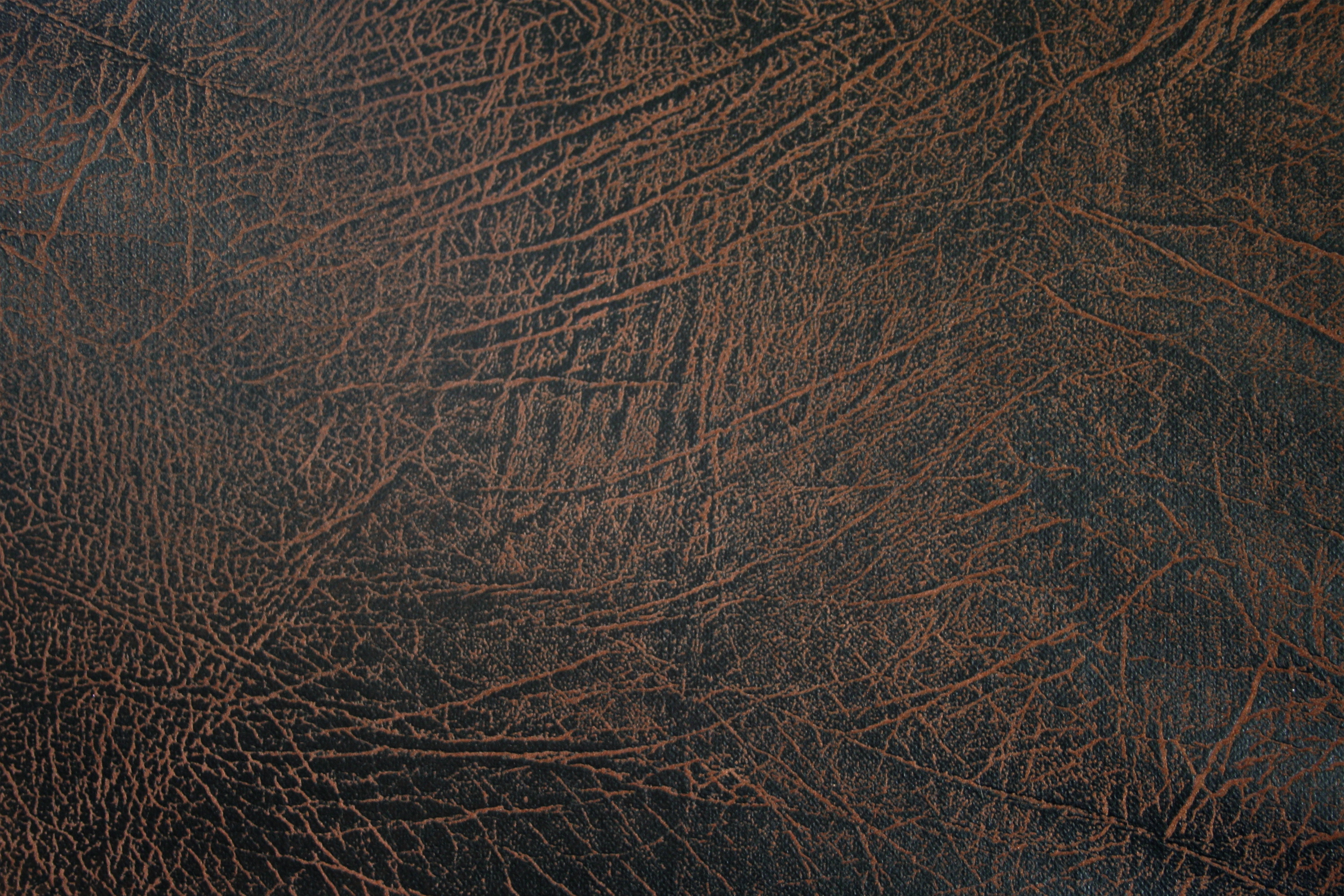 Seamless Leather Texture Photoshop