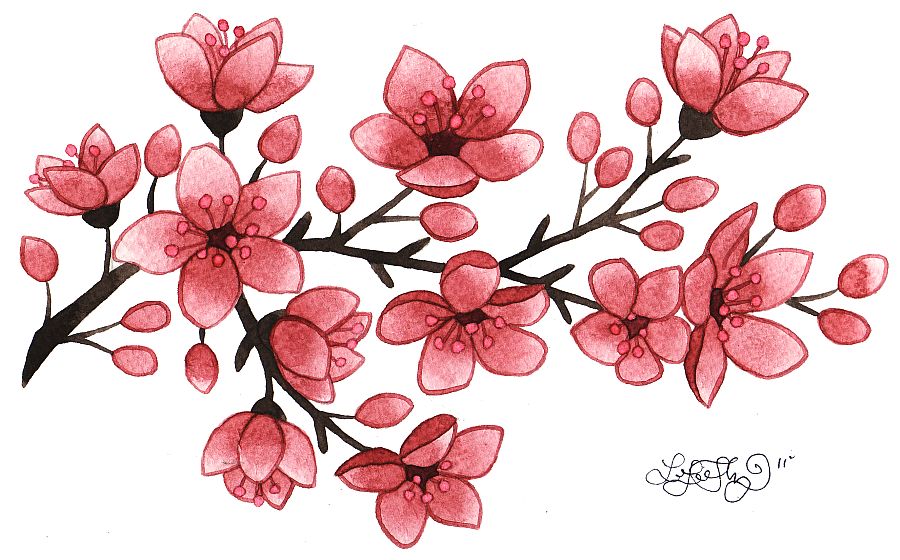 Small Cherry Blossom Tattoo Designs Small Cherry Blossom Tattoo Designs