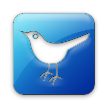 Twitter Bird Logo Icon