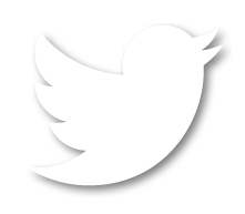 Twitter Icon White