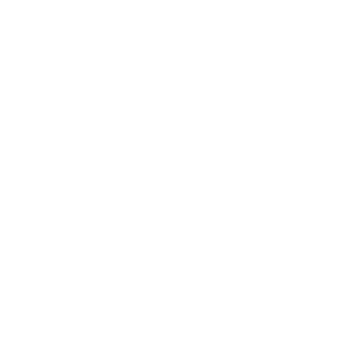 Twitter Icon White