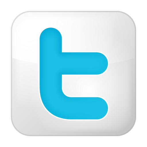 Twitter Icon White