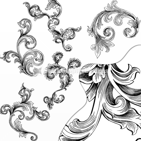 Vector Floral Ornamental Design