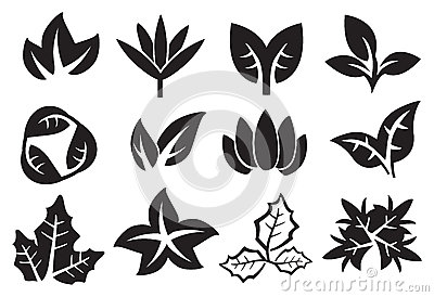 Vector Leaves Black and White